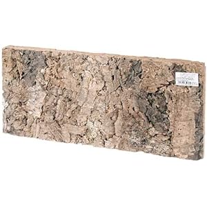 Kork Rückwand Burma, 600x300x17,5 mm, 2 St.