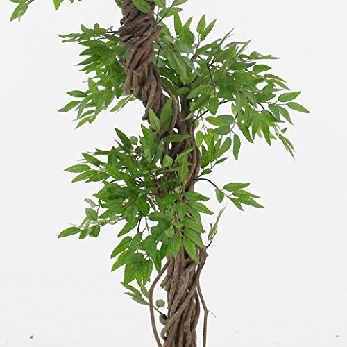 Stilvoller künstlicher Baum & Pflanzen, Der Japanese Fruticosa Tree ist eine wunderschöner künstliche Pflanze für Büros und Innendekorationen Höhe: 165cm groß. Pflanzen für einen Wintergarten - 6