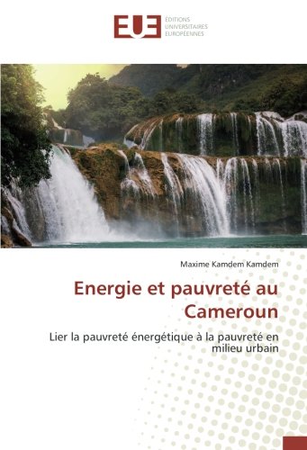 Energie Et Pauvrete Au Cameroun Pdf Download Patsyantiman