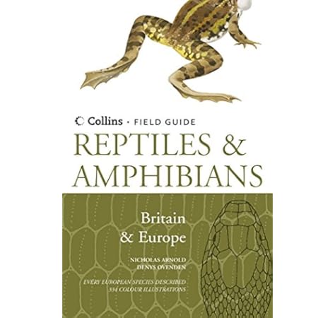 reptile shop europe