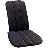 backfriend back support review