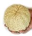 Loofah Savannah Pumpkin All Loofah Bath Puff
