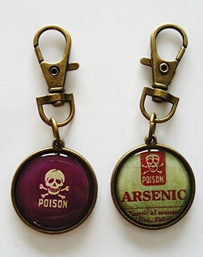 Mouse over image to zoom Have one to sell? Sell it yourself Poison Double Sided Keyring Key Ring Clip Bag BN Arsenic Goth Alchemy NEW