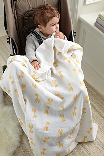aden stroller blanket