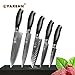 Produktbild Tyro YARENH 5 pcs damascus kitchen knife set professional vg10 chef knives sets 8" cleaver santoku utility paring knife