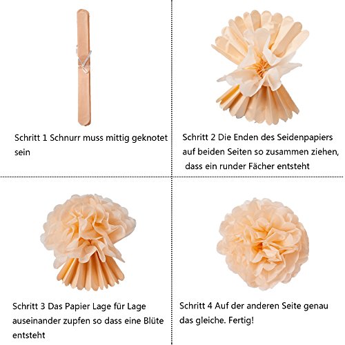 HAPPY BIRTHDAY Girlande Rosa Dekoration Serie 6er Set Seidenpapier PomPoms Deko - 7