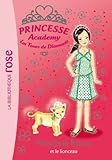 Princesse Academy 41 - Princesse Romy et le lionceau