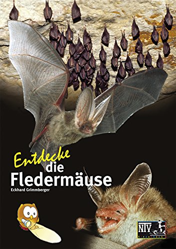 Download Entdecke die Fledermäuse (Entdecke - Die Reihe mit der Eule)