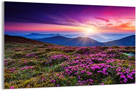 ARTTOR Glass Wall Art Picture Photo Landscape Mountains Flowers Green Hills 120x80cm Art Glass Prints Art prints Artwork Modern Glass Pictures for Home Decorations Living Room Bedroom GAA120x80-2719