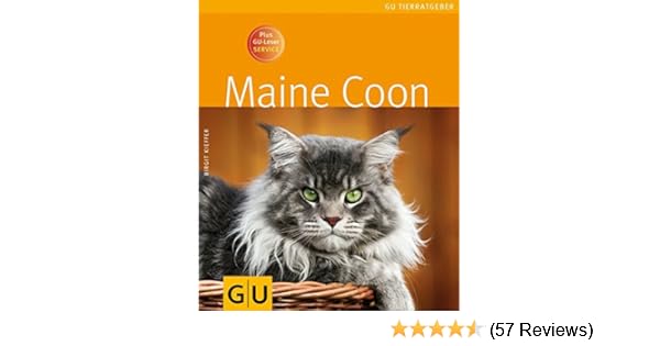 Maine Coon Amazonde Birgit Kieffer Bã¼cher