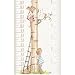 Talltape ('Tree') - Portable, Roll-up Height Chart Plus 1 Sharpie Mini Marker Pen To Measure Children From Birth To Adulthood - Choice of 8 Designs