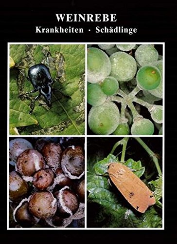 Preisvergleich Produktbild Weinrebe: Krankheiten und Schädlinge