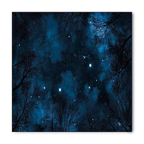 Night Sky Bandana, Forest Branches Trees, Unisex Head and Neck Tie