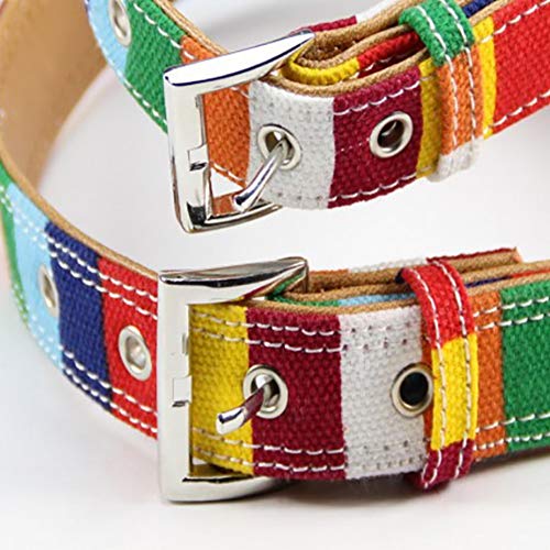 XIAOLANGTIAN-1-Pc-Lumineux-Couleur-Pet-Walk-Gilet-Chien-Chat-Scurit-Chiot-Poitrine-Strap-Harnais-Collier-Laisse