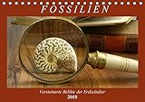 Author:Anja Frost Fossilien - Versteinerte Relikte der Erdzeitalter (Tischkalender 2018 DIN A5 quer): Einen Querschnitt durch die Vielfalt der Fossilien (Geburtstagskalender, 14 Seiten ) (CALVENDO Wissenschaft)