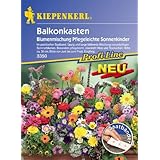 Kiepenkerl Blumenmix Pfl.Sonnenkinder