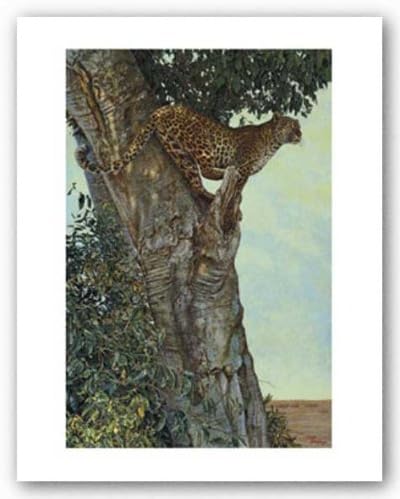 On the Lookout by Kalon Baughan Art Print Poster