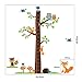 Wall Sticker Removable Decal Home Decor Vinyl Cartoon Owl Child Measure Height