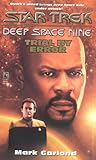 Cover zum Buch Star Trek: Deep Space Nine: Trial by ...