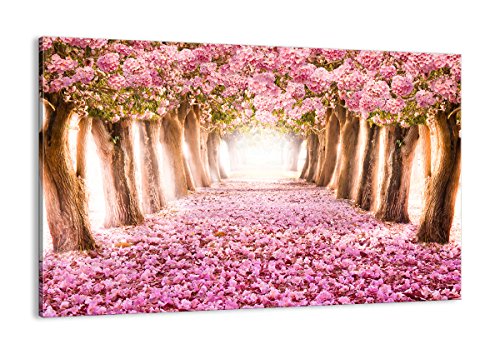 Cuadro sobre Lienzo - de una Sola Pieza - Impresión en Lienzo - Ancho: 120cm, Altura: 80cm - Foto número 2794 - Listo para Colgar AA120x80-2794