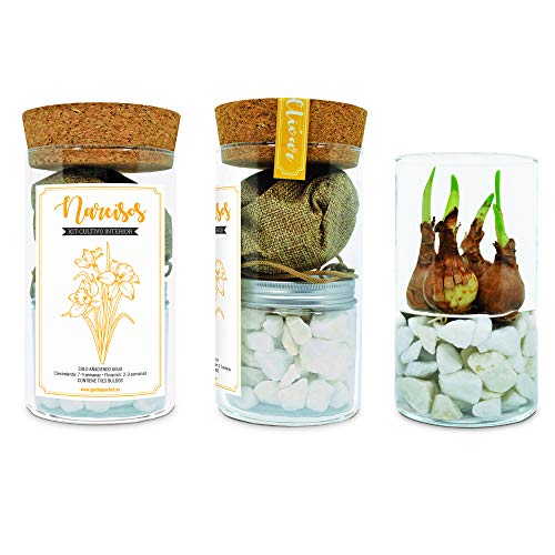 Garden Pocket - Kit INTERIOR NARCISOS solo Agua