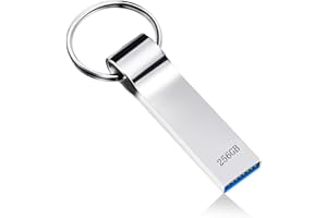 destuu Chiavetta USB 256GB Memoria USB 3.0 Alta Velocità Pen drive Impermeabile Con Portachiavi Pennetta USB Mini Portatile Metallo penna usb per PC/Computer/Portatile/Automobile