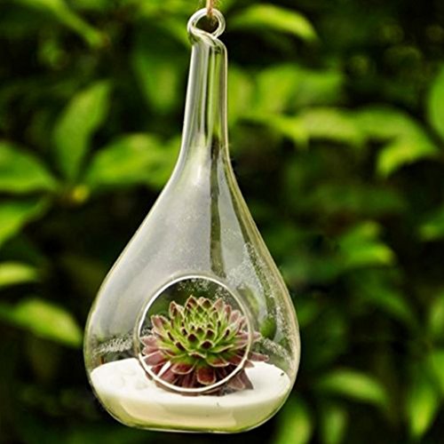 Gazechimp Transparent Kegelglas Wand Hängen Glas Vase Für Pflanzen Blumen Wohnzimmer Wand Dekor - 3
