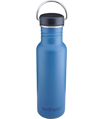 Klean Kanteen Classic Insulated Water Bottle 1010576 Purple Potion, Loop Cap, Bouteille Thermos 592 Ml