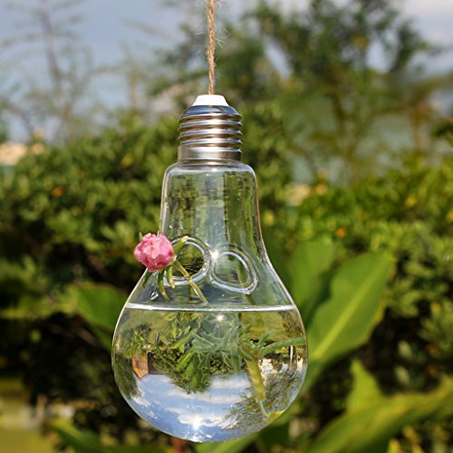 Gazechimp Klare Lampenglas Blühbirne – Glühbirnenvase Vase Flasche Für Pflanzenblumenschmuck - 4