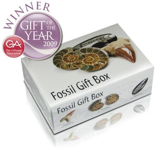 Price comparison product image Junior Geo Fossil Gift Box