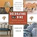Decorating on a Dime: Trade Secrets from a Style Maker by Christy Ferer