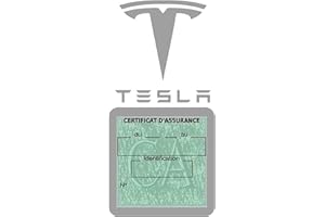 ASSURDHESIFS Vignette Assurance Voiture Compatible avec Tesla Moins 4 Ans Stickers Auto Retro (Gris)
