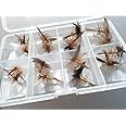 BestCity Fly Fishing DRY FLY WICKHAMS FANCY Set of 16 flies with Clip shut Fly Box
