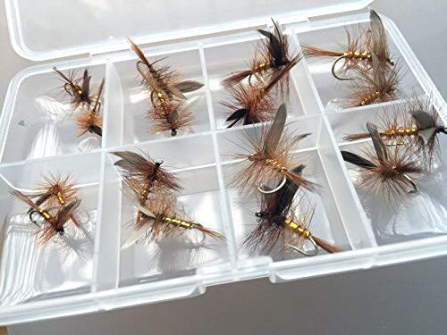 Pack de 16 moscas secas Wickmans fancy para pesca de trucha, incluye caja con cierre de clip