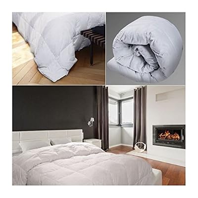 ProBache - Couette plume d'oie 220X240 cm anti-acariens