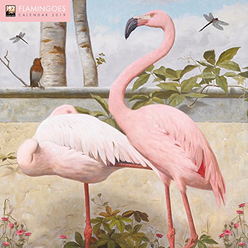 Download Flamingoes 2019 Calendar Download Flamingoes 2019 Calendar