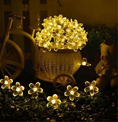 Timewanderer 7.5m 50 Warm White Transparent Flower Led String Fairy Light AA Battery Operated Bright Decorative Lights on Clear Wire for Home Decoration