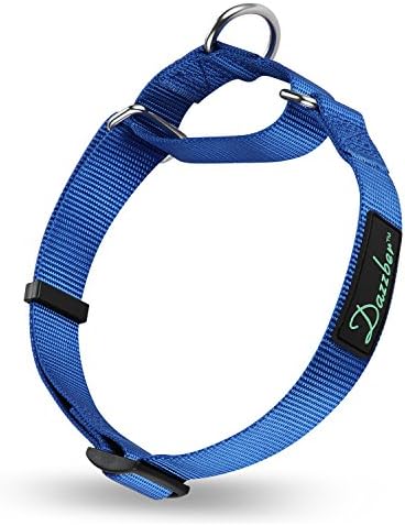 Dazzber Martingale Collars for Dogs Adjustable Durable Dog Collar Solid Color Nylon Dog Collars for Large/Medium/Small Dogs (Medium (Pack of 1), Royal Blue)