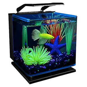 GloFish Betta Aquarium Kit 3 Gallons, Includes LED Lighting and Filter