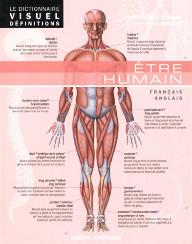 couverture de : Le Dictionnaire Visuel D&eacute;finitions - ?tre humain