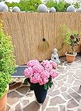 Fabricado en la UE, producto de calidad Nature-Lounge24, disponible en muchos tamaños.