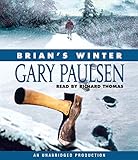 Cover zum Buch Brian's Winter