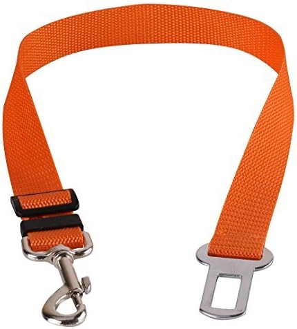Orange Car Seatbelt Dog Lead