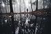 Produktbild Alu-Dibond-Bild 140 x 90 cm: "man reflection in lake in fantasy forest in autumn", Bild auf Alu-Dibond