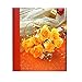 Natraj 200 Pocket 5 X 7 inch Album RS.500.00