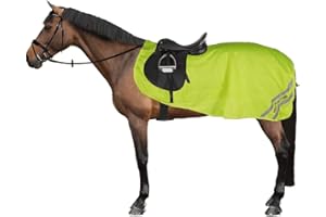 Shires Equi-Flector Mesh Exercise Sheet - Yellow