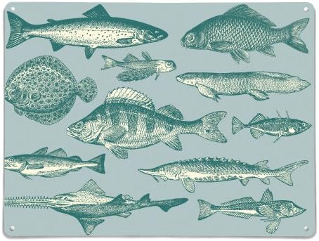 the Metal Art Company 1-Piece 100 x 75 cm Stove Enameled Mild Steel Design Fish Illustration Metal Wall Art Panel/ Large Magnetic Notice Board