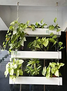 Bio Blooms Agro India Private Limited Window Hanging Planter, 3 Steps Hanging with Two Hooks Bio_603_1