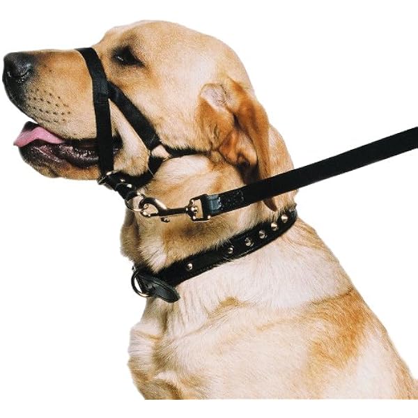 Dog collar to prevent pulling Clearance