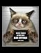 Produktbild Close Up Grumpy Cat Miniposter Sauce, Tardar (27,5cm x 35,5cm) + 1 Traumstrand Poster Insel Bora Bora zusätzlich